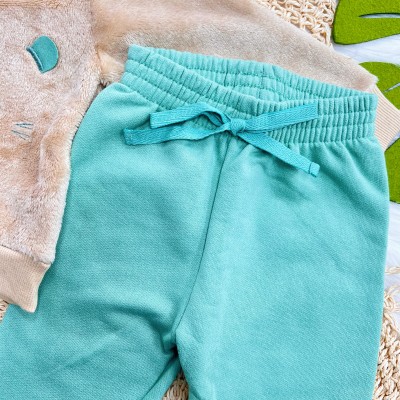 Conj. Casaco de Pelinho Bebê Tigre e Calça de Moletom - Areia e Verde